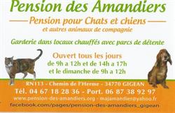 PENSION DES AMANDIERS, Gigean - Horaires d'ouverture
