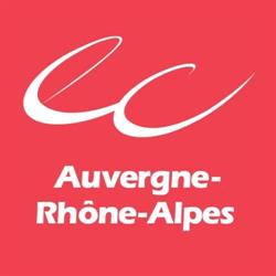 Syndicats Conseil Régional Ordre Des Experts Comptables Rhône Alpes, Lyon - Horaires d'ouverture