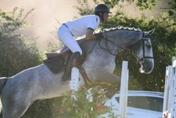ECURIES DU BOST, Saint-Christophe-de-Double - Horaires d'ouverture