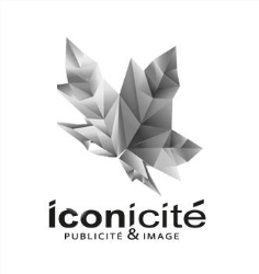 Studio Iconicité - graphiste Manche, Annoville - Horaires d'ouverture