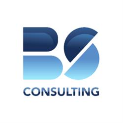 BS CONSULTING, Livry-Gargan - Horaires d'ouverture