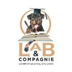 Lab & Compagnie, La Martyre - Horaires d'ouverture