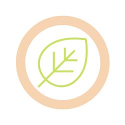 Protection Nature Et Plantes, Chaulgnes - Horaires d'ouverture