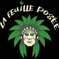 CBD Paris - Falma CBD Shop, - Horaires d'ouverture