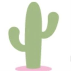 Cactus, Biscarrosse - Horaires d'ouverture