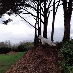 Camping Le Loup Blanc en Finistère Sud, Plouhinec - Horaires d'ouverture