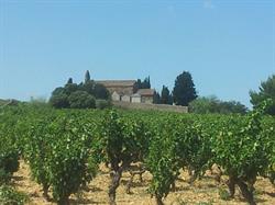 Domaine Martinolle-Gasparets Cave, Boutenac - Horaires d'ouverture