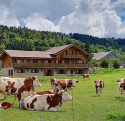 Les Dolines, La Chaux - Horaires d'ouverture