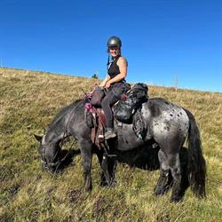 Wanderreitstation Chez Cindy, Merkwiller-Pechelbronn - Horaires d'ouverture