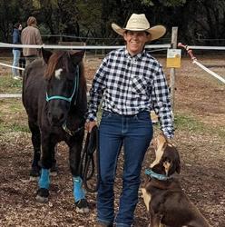 Sunny Ranch, Pernes-les-Fontaines - Horaires d'ouverture