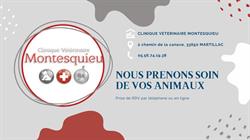 Clinique Vétérinaire Montesquieu, Cadaujac - Horaires d'ouverture