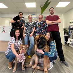 CABINET VETERINAIRE DES 2 RIVES, Aurec-sur-Loire - Horaires d'ouverture