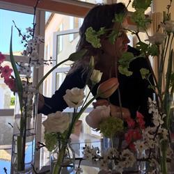 Sabine Chave - L’Instant Floral - Fleuriste Cadillac, - Horaires d'ouverture