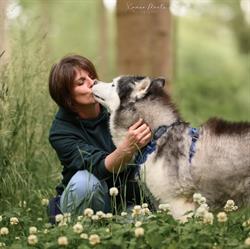 Maï Dog - Éducateur Comportementaliste Canin, Merville - Horaires d'ouverture