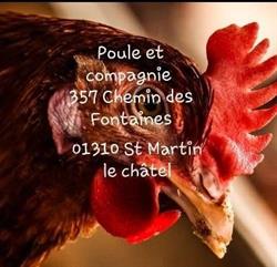 POULES ET COMPAGNIE / DUBOST MICKAEL, Saint-Martin-le-Châtel - Horaires d'ouverture