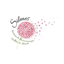 Silenes, Graines du Morvan, Saulieu - Horaires d'ouverture
