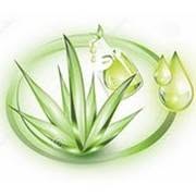 Aloevera Forever, Saint-Michel-sur-Orge - Horaires d'ouverture