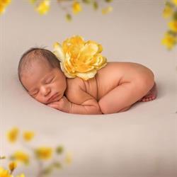 Lilie-rose photographie, Béziers - Horaires d'ouverture