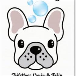 Bulles Dog Toilettage, Brunstatt - Horaires d'ouverture