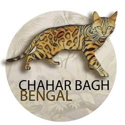 Chahar Bagh Bengal, Mougins - Horaires d'ouverture