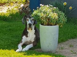 Cani Salon, Dampierre-les-Bois - Horaires d'ouverture