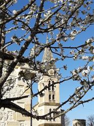 Mairie de Naujac-sur-Mer - Horaires d'ouverture