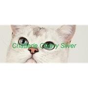 CHATTERIE CHERRY SILVER (Halter Alain), Réding - Horaires d'ouverture