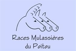 Races Mulassières du Poitou, Coulon - Horaires d'ouverture