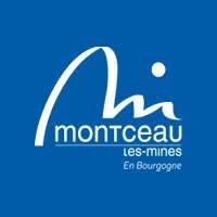 Ville de Montceau Les Mines, Montceau-les-Mines - Horaires d'ouverture