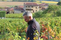 Domaine Patrice Arnaud, Nuelles - Horaires d'ouverture
