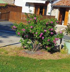 Gîte Les Hortensias, Boffres - Horaires d'ouverture