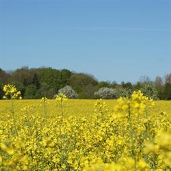 SAFER Pays de la Loire, Le Mans - Horaires d'ouverture
