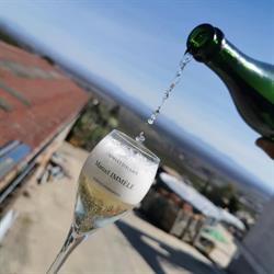 Vins Immelé, Voegtlinshoffen - Horaires d'ouverture