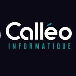 Calleo informatique (Entreprises et Particuliers), Vannes - Horaires d'ouverture