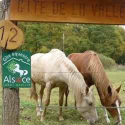 gîte equestre de la vallée à l'échappée verte, Soucht - Horaires d'ouverture