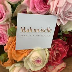 Mademoiselle Fleuriste, Marcq-en-Baroeul - Horaires d'ouverture