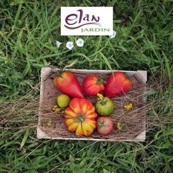 Association Elan, Nance - Horaires d'ouverture