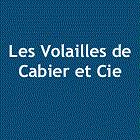 CABIER ET COMPAGNIE, Boé - Horaires d'ouverture