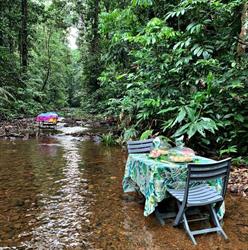 T'Air Nature Guyane, Roura - Horaires d'ouverture