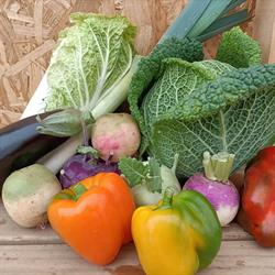 Aux Sons du Potager, Auxon-Dessus - Horaires d'ouverture
