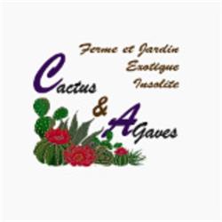 Cactus Et Agaves - La Végétalerie, Beaumont-Village - Horaires d'ouverture