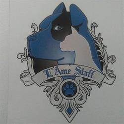 L Ame Staff, Aigrefeuille-d'Aunis - Horaires d'ouverture