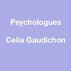 Celia Gaudichon, Châtillon-Coligny - Horaires d'ouverture