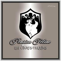 Pension Féline des Chats-Telains, Castella - Horaires d'ouverture