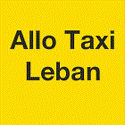 Allo Taxi Leban, Vierzon - Horaires d'ouverture
