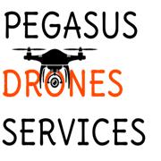 Pegasus-Drones-Services, Servon - Horaires d'ouverture