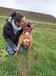 Teacher's dog, Gradignan - Horaires d'ouverture