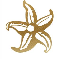 The Starfish, Bordeaux - Horaires d'ouverture