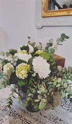 Pivoine fleuriste, Bayeux - Horaires d'ouverture