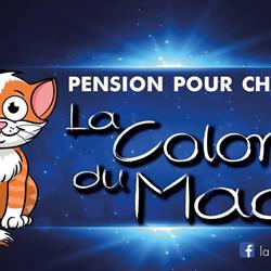 La Colonie du Madon, Hymont - Horaires d'ouverture